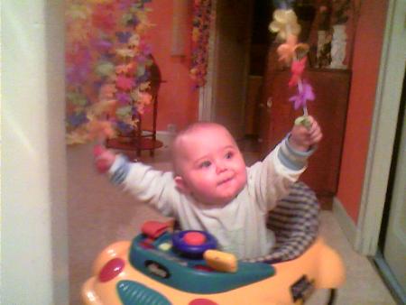 ho! les rideaux que s'est beau un tour de man�ge