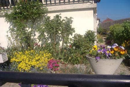 vol�e dans la coure d' une maison