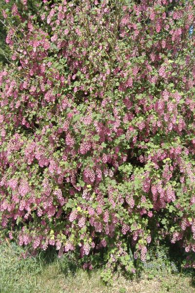 coucou c'est encore moi