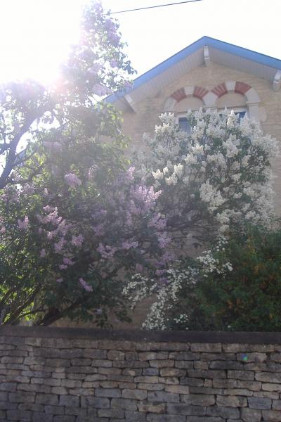 photo prise par ma fille Alex 9 ans