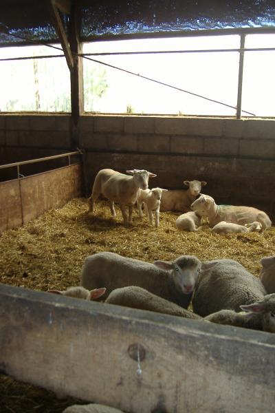 Qui viens nous voir?