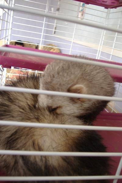 une journ�e bien remlie 