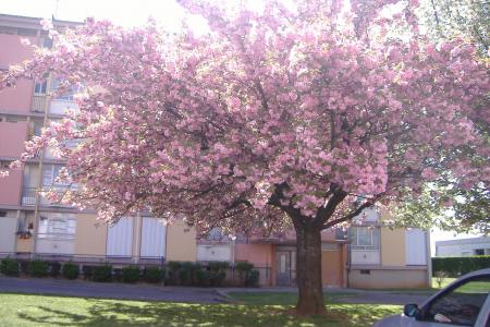 attention je vous observe