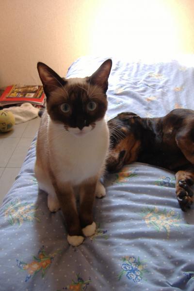 c'est encore l'heure 