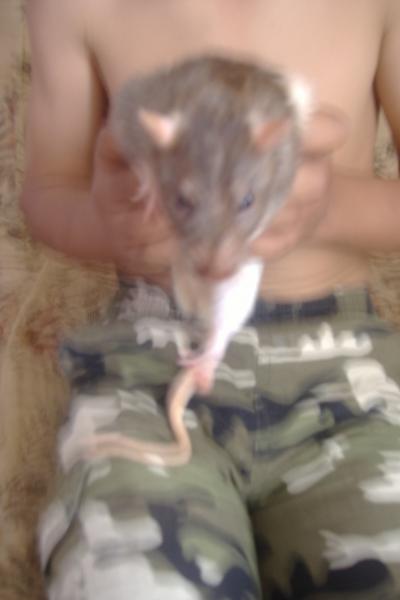 qui me dit que j'ai peur  