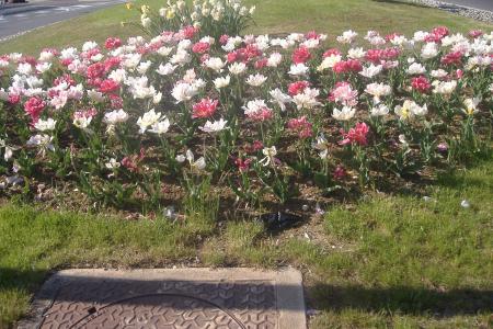 h� ! vous voyez? j'embelli le rompoint  