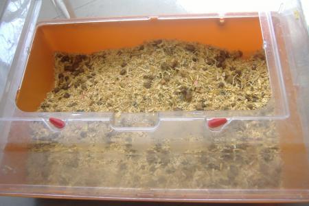 op�ration chang�e mes rat