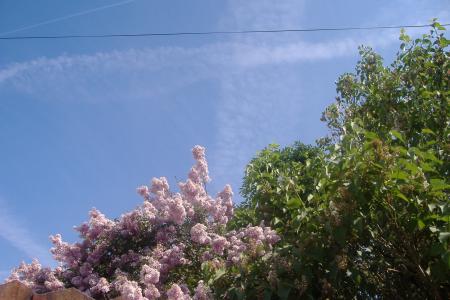 photo prise par ma fille Alex 9 ans