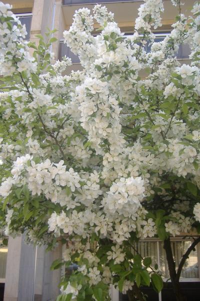 ho je suis magniphique n'est ce pas!