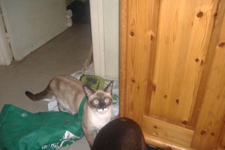 h� on vas faire les courses baudy