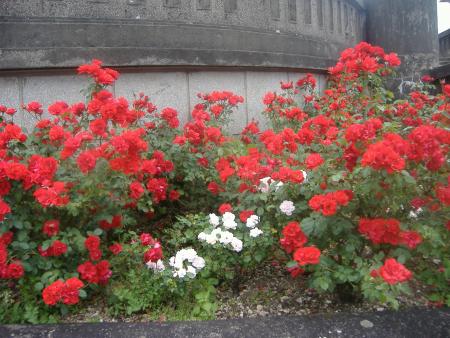 vous avez vue un c�t� voici le millieu