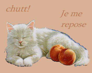 A DEMAIN matin si vous le voulez bien