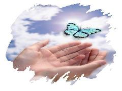 bonjours � toutes  les blogeuses et blogeurs 