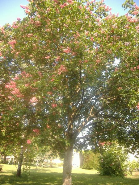 pris dans l'autre sense