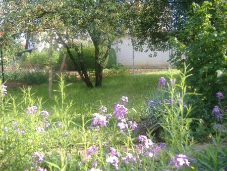 de la verdure et des fleures