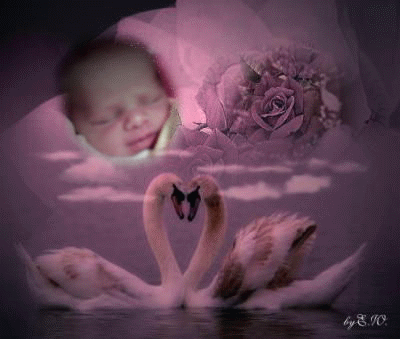 bonne nuit � vous tous et 