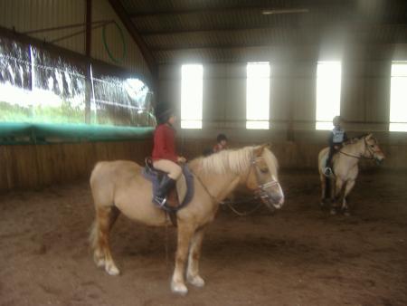 du poney � chateauvillain  vous les voyez tous les deux