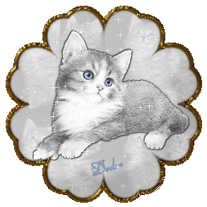 pour vous tous Bonjours