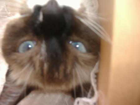 joueuse elle a retourn�e sa t�te  