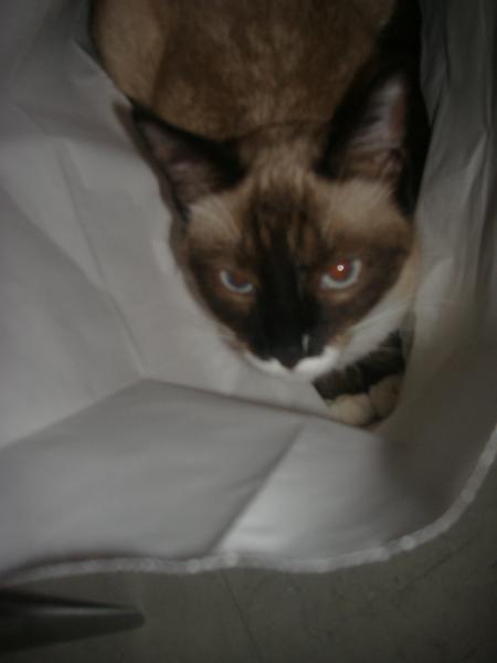 qu'est qu'on est bien 