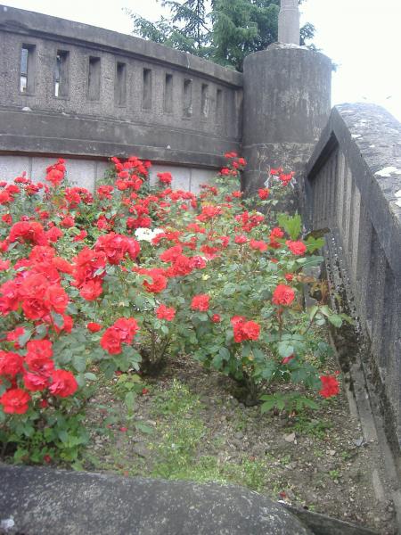 enfin d' apr�s midi en allent au attelier d' �criture 