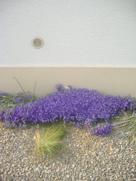 photo prise dans une coure