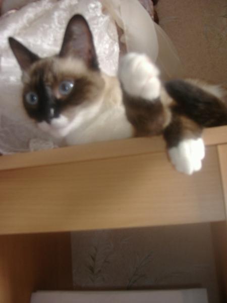 que suis t' elle du regard