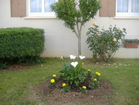 et ce parterre il est bien fleuri 