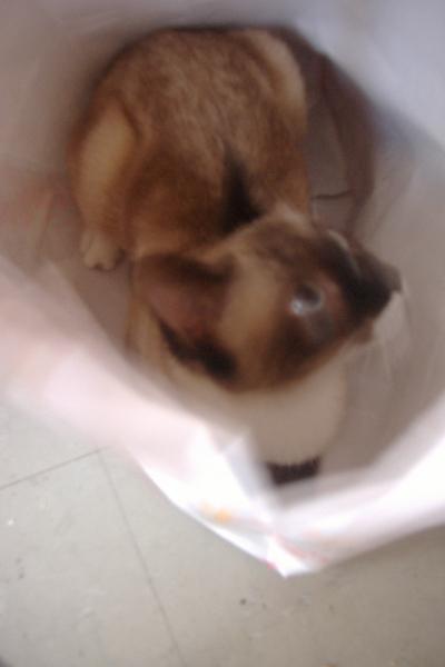 un petit coup d'oeuil on est pr�s ? qui m'em�ne?