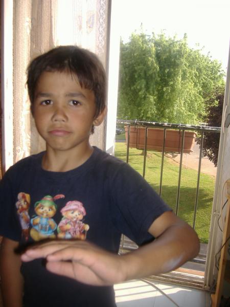 qel regard mon fils je t' ai pris