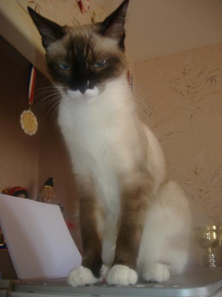 regardez moi  on est bien sur l'imprimante de ma ma�tresse  