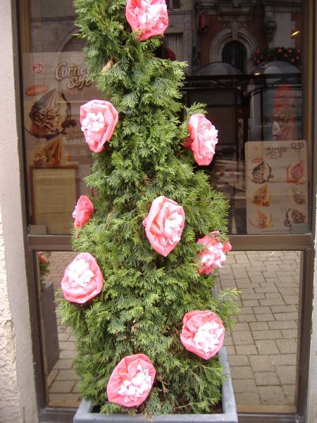 les commer�ants ont dispos�s pr�s