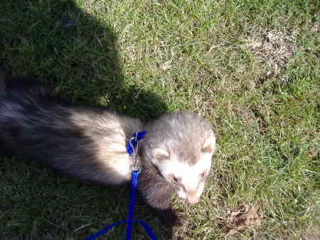 apr�s la s�ance de photos 