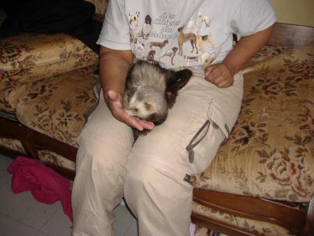 une l�chouille avant de regagner son lit 