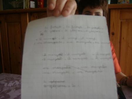 sous l'oeil attentif de mon amie patoch 