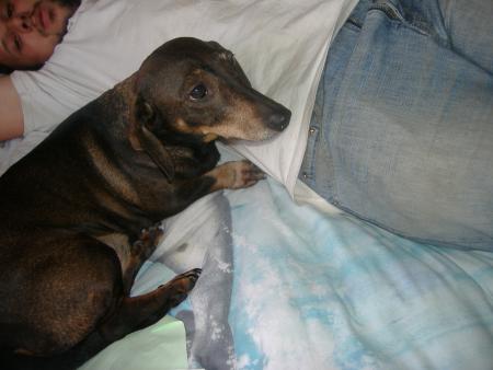 m�me le papa de luka adore le lit de sa m�re