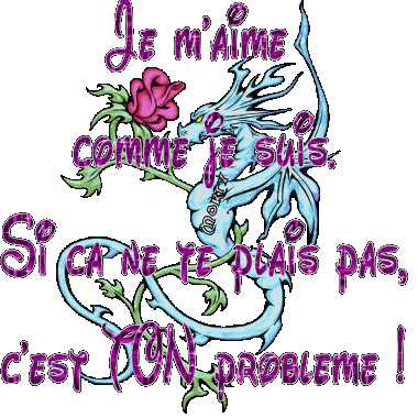 Je suis comme je suis  