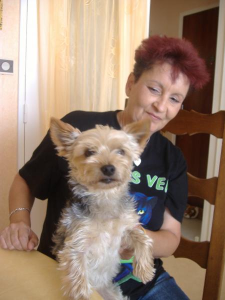 m�me le chien est de la partie